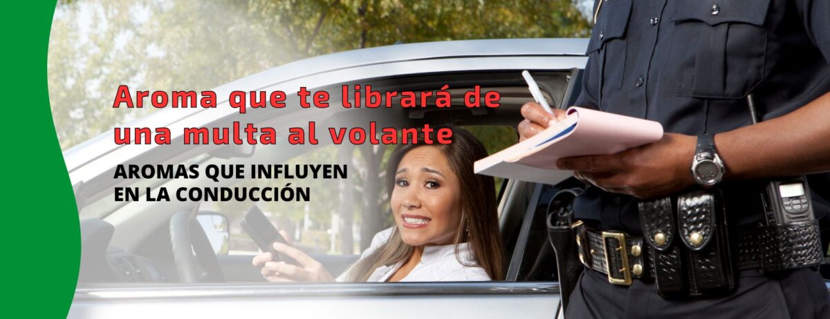 Aromas que influyen en la conducción portada